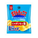 湖池屋 Largeサイズ ポテトチップス じゃがいもと塩 126g 12コ入り 2023/04/03発売 (4901335156300)