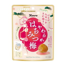 カンロ やわらかはちみつ梅 40g 6コ入り 2023/03/27発売 (4901351006801)