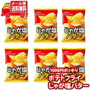 (全国送料無料)東豊製菓 ポテトフライ(じゃが塩バター) 11g 6コ入り メール便(4901984088281x6m)