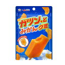 不二家 ガツン、とみかんグミ 53g 10コ入り 2024/04/02発売 (4902555124841)