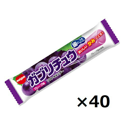 (全国送料無料) 明治チューインガム ガブリチュウ＜グレープ＞【40本】おかしのマーチ メール便 (4902744031844x2m)