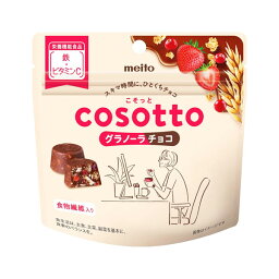 名糖産業 こそっとグラノーラチョコ 49g 60コ入り 2024/03/05発売 (4902757131005c)