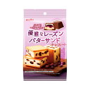 名糖産業 ひとくちパティスリー優雅なレーズンバターサンドチョコレート 49g 64コ入り 2024/09/02発売 (4902757137106c)(4)