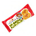 やおきん マギーおばさんのチョコチップクッキー 2個 30コ入り (4903013247706)