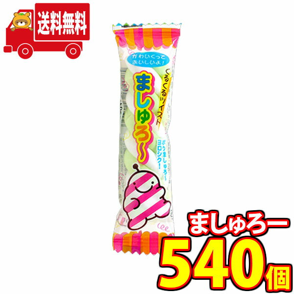 (地域限定送料無料)【訳あり特価】【在庫限り】やおきん まし