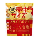湖池屋 夢中サイズ プライドポテト ぞっこん岩塩 102g 12コ入り 2025/03/31発売 (4514410179431)