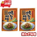 (全国送料無料)森田製菓 うま辛仕立て 焼ねぎ味噌 2コ入り メール便 (4956427041507sx2m)【送料無料 詰め合わせ 小袋 個包装 お試し】