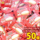 (全国送料無料)お菓子 詰め合わせ 銀の汐 ひとくちミニサイズ リッチバタークッキー 50コ入 メール便 (4962407015024sx50m)【お菓子 お試し 個包装 駄菓子 おつまみ 子ども会 イベント 問屋 販促