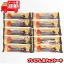 (全国送料無料)お菓子 詰め合わせ 【10コ】プレミアム 生チョコケーキ メール便 (4962407047117m)【送料無料 詰め合わせ おやつ 小袋 個包装...