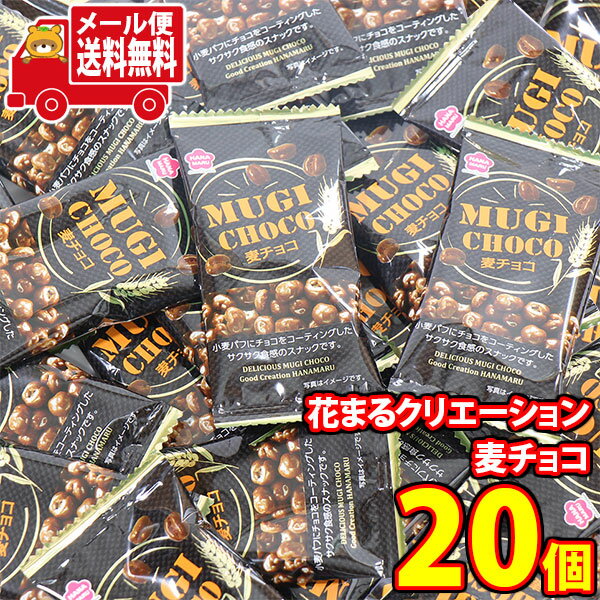 (全国送料無料)お菓子 詰め合わせ 花まるクリエーション 麦チョコ 小袋 20コセット メール便 (4589905333063x20mz)【送料無料 詰め合わせ おやつ 小袋 個包装 小袋 お試し お菓子】