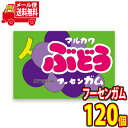 【3/4(月)20:00~3/11(金)1:59限定★エントリーで2点購入P5倍・3点以上でP10倍】(全国送料無料) マルカワ ぶどうフーセンガム 1個 120コ入り メール便 (49459395x2m)