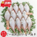 (地域限定送料無料) 岡富商店 『一日漁』かれい一夜干 1200g〈10～16枚〉冷凍 干物セット ギフト(sot122)