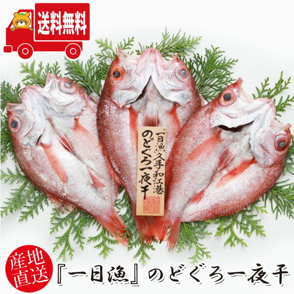 地域限定送料無料(※北海道・沖縄・離島除く) 島根県大田市にある昭和25年創業の老舗「岡富商店」の 全国でも珍しい一日漁で水揚げされた新鮮な魚を使用した一夜干しです。 保存料・着色料を使用せず、塩のみ無添加で仕上げており 安心・安全に魚本来の美味しさをお楽しみいただけます。 ※「のし」が必要な方には、対応いたします。 (包装は帯タイプの簡易包装となります。) ■■こちらの商品はクール便(冷凍)での配送となります。■■ 地元漁師町の人たちが「美味い魚」の一番にあげる【のどぐろ】。 当店でも人気No.1の魚です。“白身のトロ”と言われる最高級魚【のどぐろ】を詰合わせました。 地元：島根県大田市では全国でも珍しい『一日漁（いちにちりょう）』という漁を行っています。 早朝出漁し、漁をして夕方に帰港、そして水揚げされます。 ですから、「その日海で泳いでいた」鮮度抜群の魚が競りにかけられ、それを買い付けることが出来ます。 このような漁の形態が大規模に行われているのは全国的にも大変珍しいことなのです。 その日海を泳いでいた魚を買付け、加工するので、脂の鮮度がちがいます。 ですから当然【のどぐろ】の旨みのもと＝脂が新鮮なので、“白身のトロ”と呼ばれる【のどぐろ】の旨みをしっかり味わっていただける一夜干に仕上がっています。 また、こだわりの天日塩のみで仕上げた無添加一夜干ですから、どなたにも安心してお召し上がりいただけます。 大切なあの方に、国内産はもちろん、地元島根県大田産、『一日漁』にこだわった当店の一夜干しギフトをお勧めします。 【セット内容】 のどぐろ3〜5枚(計660g) 【原材料】 ノドグロ（アカムツ）、天日塩使用 ■賞味期限 60日 開封後は賞味期限に関わらずお早めにお召し上がりください。 ■保存方法 冷凍 ■おもな原産地 島根県沖 【注意事項】 ・メーカーからの直送のため、他商品との同梱発送はできません。 ・代引き不可。（代引きでご注文の場合、キャンセルさせていただきます） ・配送不可の地域がございます。ご了承いただけますようお願い致します。 ・天候や収穫状況によって出荷が遅れる場合や、キャンセルをさせていただく場合がございます。あらかじめご了承ください。 (店内検索用: ギフト プレゼント お中元 お歳暮 お祝い お礼 快気祝い 寸志 内祝い お慶び 出産 結婚 入学 就職 贈り物 父の日 母の日 敬老の日 お誕生日 お正月 お返し お土産 お取り寄せ グルメ 山陰名物国産 一日漁 旬獲れ 新鮮 島根県 国産 干物 ひもの 海鮮 無添加 地魚 乾物 老舗 安全 無着色 食べ比べ 和食 日本食 テレビ 紹介 放送 人気 進物 ギフトセット 産地直送 通販 冷凍 のどぐろ 山陰沖 ひもの食べ比べ 島根 詰合せ 一日漁 漁師 ふるさと ふるさと干物 お誕生日ギフト 魚 焼き魚 海鮮 おつまみ 和食)