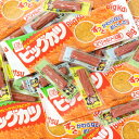 (全国送料無料)おつまみ定番!おやつカルパス(50コ)・ビッグカツ(20コ)おかしのマーチ メール便(omtmb6716)