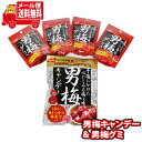 (全国送料無料)お菓子 詰め合わせ 旨さの神髄男梅シリーズ・キャンディ1袋&グミ4袋セット(2種・計5コ) メール便 (omtmb8453)【おかし キャンディ...