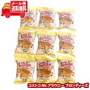 (全国送料無料)コストコ Mr.ブラウニー ブロンディーズ 9コ メール便 (0667342800752sx9m)【送料無料 詰め合わせ おやつ 小袋 個包装 お試し】