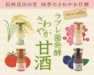 ラブレ菌発酵さわやか甘酒100g6本入