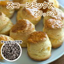 スコーンミックス粉 250g×2袋 チョコチップ100gセット 手作り お菓子 材料 業務用 【5〜10月クール便(送料別)】
