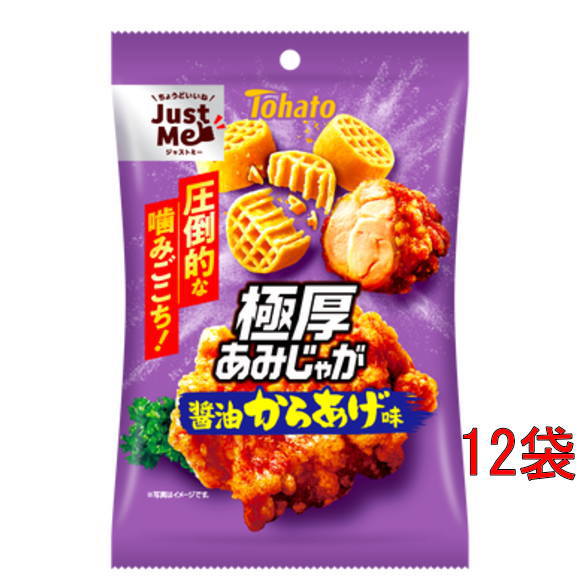 東ハト 極厚あみじゃが・醤油からあげ味45g×12袋
