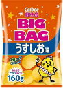 【心ばかりですが…クーポンつきます☆】カルビー ポテトチップスBIGBAGうすしお 160g×12袋入