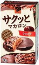 【心ばかりですが…おまけつきます☆】カバヤ食品サクッとマカロンショコラ10枚×5箱入