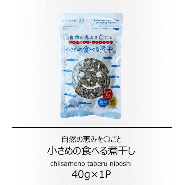 岡商店 小さめの食べる煮干し 40g【配送日時指定不可】【送料無料】【メール便対応】【カルシウム】【おやつ】【おつまみ】【無添加】
