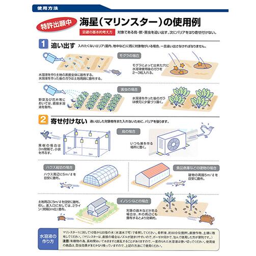 ����ޥޥ�󥹥��� 20L��10kg�� ������å֥��å� �ھ����ɺ� ���Υ��� ���� �⥰�� ���饹 �ϥ�