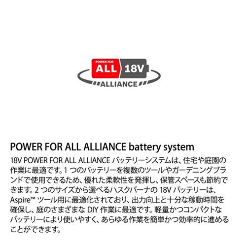 ハスクバーナ 充電式ハンディチェンソー Aspire PE5-P4A プルーナ＋ポールキット 970621409 枝打 高枝 剪定 チェンソー
