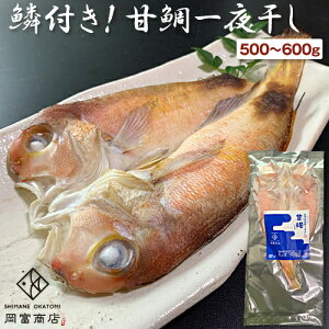 御中元 お中元 ギフト 【超特大】鱗付き！甘鯛一夜干し 1尾（500〜600g） アカアマダイ ぐじ グジ 国産 島根産 大田産 甘鯛干物 干物 ひもの 天然 無添加 天日塩 お祝い 御祝 内祝 お礼 誕生日 プレゼント 贈り物 松笠焼き お取り寄せグルメ 高級 グルメ 岡富商店