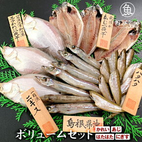 干物セット ひもの 送料無料 地魚干物ボリュームセット かれい あじ はたはた にぎす 干物 一夜干し 国産 島根産 おつまみ バーベキュー 海鮮 セット 魚 冷凍 炭火焼 詰め合わせ 朝食 おかず ご飯のお供 バレンタイン 産地直送 小魚 無添加 岡富商店 【js】