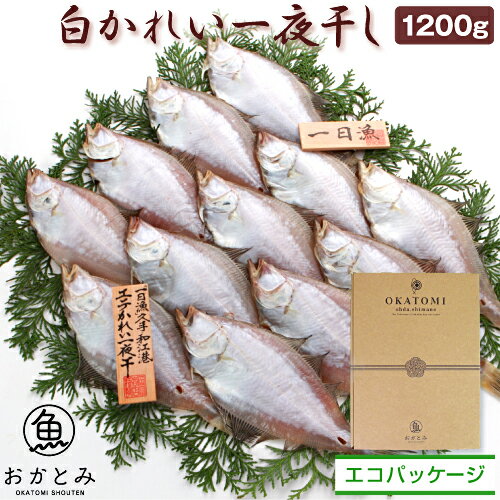 ギフト 干物 無添加 白かれい一夜干し（1200g・10〜16...