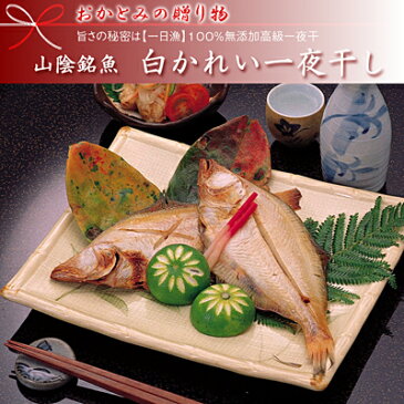 ギフト 無添加 干物 【送料無料】白かれい一夜干し（1200g・12〜16枚）エテカレイ 宗八カレイ カレイ国産 島根産 大田産 贈答 干かれい お土産 プレゼント お祝い 酒の肴 産地直送 産直 お取り寄せ 山陰沖 日本海 【岡富商店】