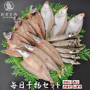 干物セット ひもの 干物 詰め合わせ