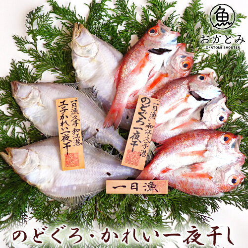 父の日 父の日ギフト プレゼント 食べ物 おつまみ セット 2024『無添加 のどぐろ干物 70～100g（小サイズ）×8枚入 送料無料（北海道・沖縄を除く）』