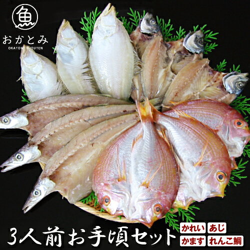 干物セット ひもの 干物 詰め合わせ 送料無料 地魚干物 3人前お手頃セット あじ かれい かます れんこ..