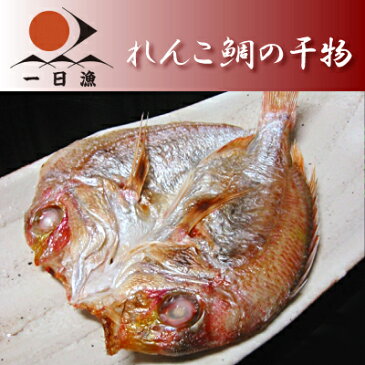 れんこ鯛の干物 1尾 大（130〜160g）≪キダイ 連子鯛 レンコダイ≫干物 ひもの 一夜干し 無添加 天日塩 お祝い 国産 島根産 大田産 祝い鯛 合格 卒業 入学 出産 お食い初め お礼 お取り寄せ 鯛めし お花見 【岡富商店】