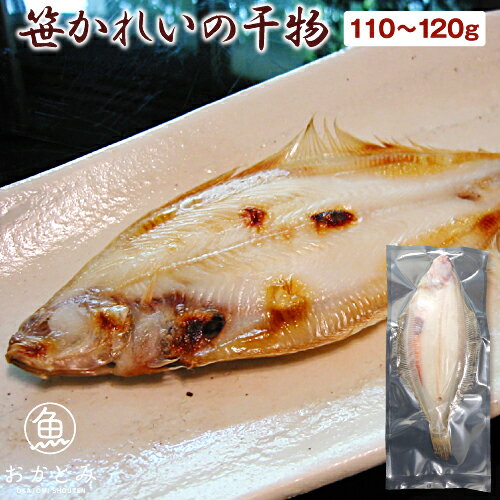 笹かれいの干物 1尾（110〜120g）≪ヤナギムシカレイ≫ 国産 島根産 大田産 山陰 日本海 一夜干し 産地直送 産直 お取り寄せ 無添加 【岡富商店】