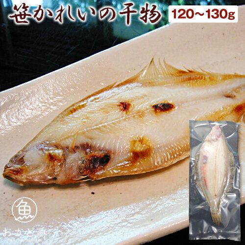 笹かれいの干物 1尾（120〜130g）≪ヤナギムシカレイ≫ 無添加 国産 島根産 大田産 一夜干し 干物 ひもの 朝食 酒の肴 和食 産地直送 産直 お取り寄せグルメ 山陰 日本海 岡富商店