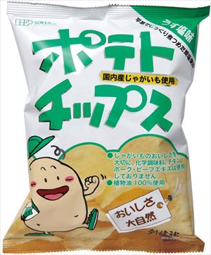 送料無料 創健社 ポテトチップス うす塩味 60g×20袋