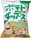 送料無料 創健社 ポテトチップス うす塩味 60g×20袋