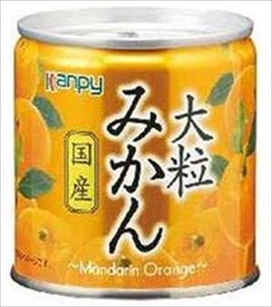 送料無料 カンピー 国産大粒みかん 190g×24個