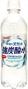 送料無料 サンガリア 伊賀の天然水 強炭酸水 500ml × 48本(2ケース)|詳細画像