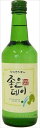 送料無料 韓国焼酎　ジョウンデー　Good day　360ml×20本