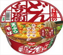 送料無料 日清食品 どん兵衛 天ぷらそば 100g×24個