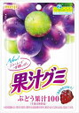 送料無料 明治 果汁グミぶどう 54g×60袋
