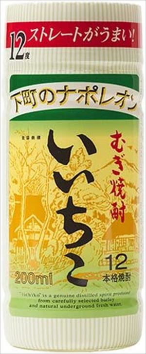 いいちこ 12度 焼酎 大