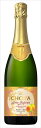 The CHOYA 梅サルーテ 750ml