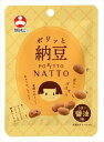 送料無料 旭松 ポリッと納豆醤油味14g×100個