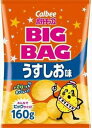 送料無料 カルビー ポテトチップス ビッグバッグ うすしお味 160g×12袋