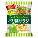 送料無料 ダイショー レタスがおいしい パリ麺サラダ用セット (95g)×10個